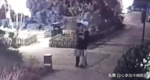 考古吃瓜视频完整版,揭秘古墓之谜，带你领略千年古文明风采