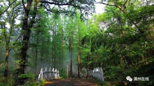 安徽滁州吃瓜事件视频,一场网络热议背后的真相揭秘