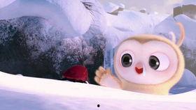 搞笑吃瓜长视频,带你领略欢乐无限