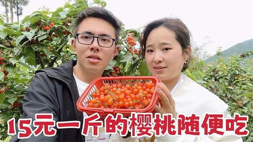 偷瓜边摘边吃视频,趣味视频走红网络