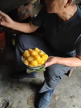 偷瓜边摘边吃视频,趣味视频走红网络