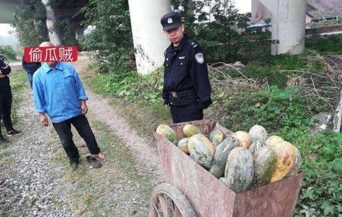 常熟森林吃瓜事件视频,揭秘神秘视频背后的真相