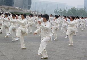 太极拳吃瓜视频在线观看,跟随吃瓜视频，在线领略国术风采