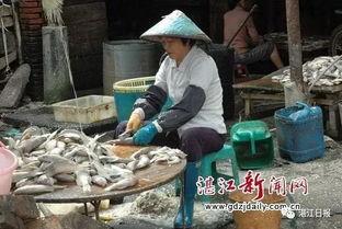 湛江赤坎吃瓜事件视频,一场引发热议的街头冲突纪实