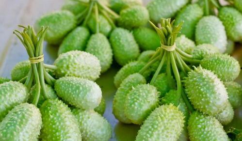 最受欢迎的吃瓜视频在线观看,全网热议！最受欢迎的吃瓜视频大盘点