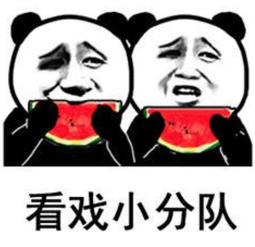 吃瓜人的素质有多高啊视频,视频揭示社会百态