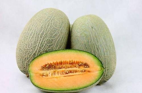 大恶魔吃哈密瓜视频在线观看,在线观看趣味十足！