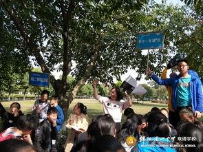 南山区吃瓜群众事件视频,一场网络舆论的风波与反思