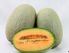 蝌蚪吃哈密瓜视频,蝌蚪品尝哈密瓜的趣味瞬间