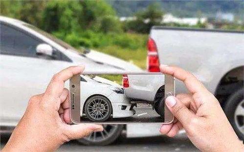 福建停车吃瓜事件视频播放,一地瓜引发的热议瞬间