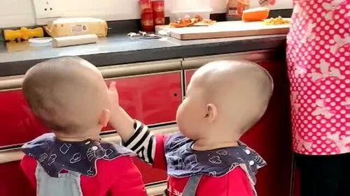 双胞胎哥哥吃瓜视频播放,揭秘瓜界新宠儿