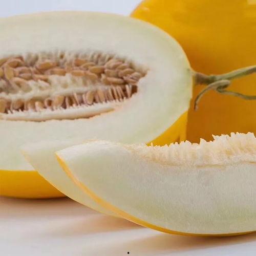 兔子怎么吃蜜瓜好吃视频,兔子教你如何美味享用