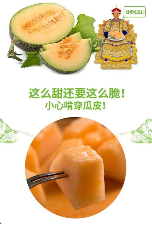 兔子怎么吃蜜瓜好吃视频,兔子教你如何美味享用