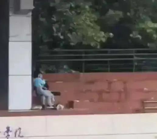 东城楼顶冻腚的吃瓜视频,一场冰火两重天的网络热议