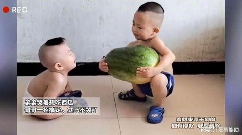 想看吃瓜的视频,那些让人捧腹大笑的吃瓜瞬间