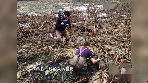 遂昌吃瓜绯闻事件视频,视频揭秘背后的真相