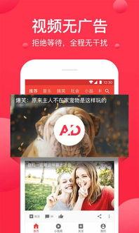 吃瓜八卦视频网站下载安装