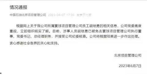 董小姐吃瓜视频大全