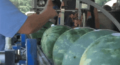 城市吃瓜的视频,揭秘街头美食背后的故事