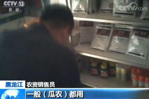 城市吃瓜的视频,揭秘街头美食背后的故事