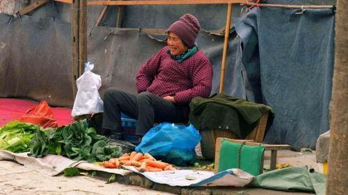 农村老汉吃瓜视频大全集,视频大全集回顾