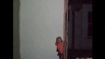 诡异事件吃瓜视频,吃瓜视频背后的惊悚真相