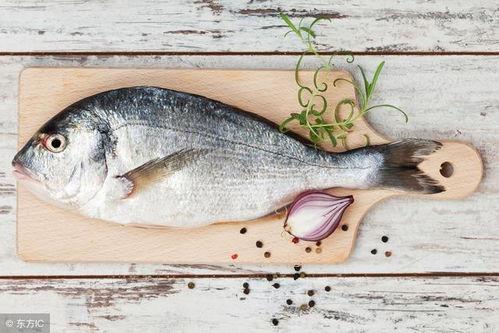 军人吃八瓜鱼好吗视频,军人的美味佳肴，营养与口感的完美结合