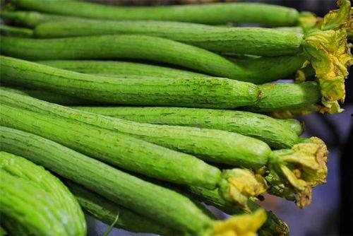 绿结瓜怎么吃最好呢视频,视频教你最佳食用技巧