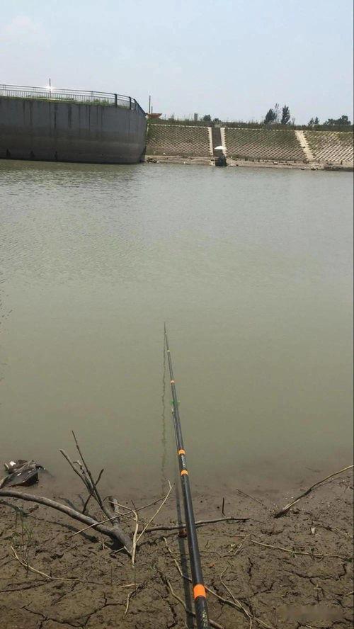 带你吃瓜钓鱼视频大全最新,趣味无限！