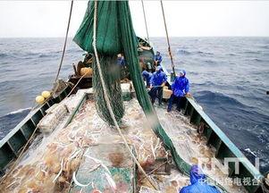 中国渔船演戏吃瓜视频,揭秘海上生活趣闻