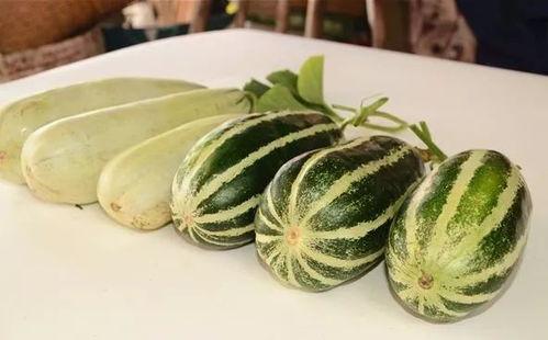 晋江网红吃瓜视频大全,揭秘热门事件背后的真相