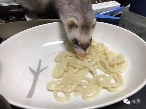 乌冬吃瓜炸裂八卦视频,揭秘娱乐圈幕后真相