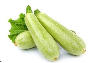 乳瓜怎么凉吃最好吃视频,乳瓜凉食新体验