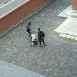 女朋友下跪吃瓜视频,一场网络争议背后的情感纠葛