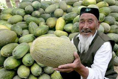 外地游客吃哈密瓜视频