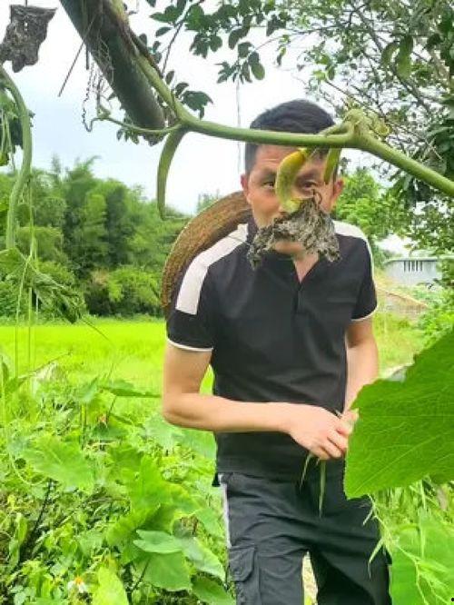 吃瓜搞笑大妈视频大全下载,欢乐时刻尽在掌握